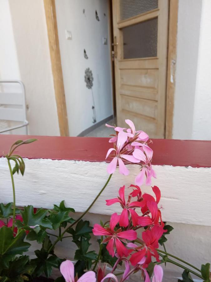 Da Valentina Apartment Castelfondo Exterior photo
